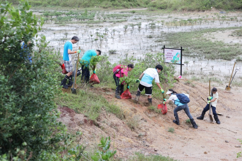 新闻稿：娇韵诗可持续社区公益保护地——共建海上森林，保护湿地生态178.png