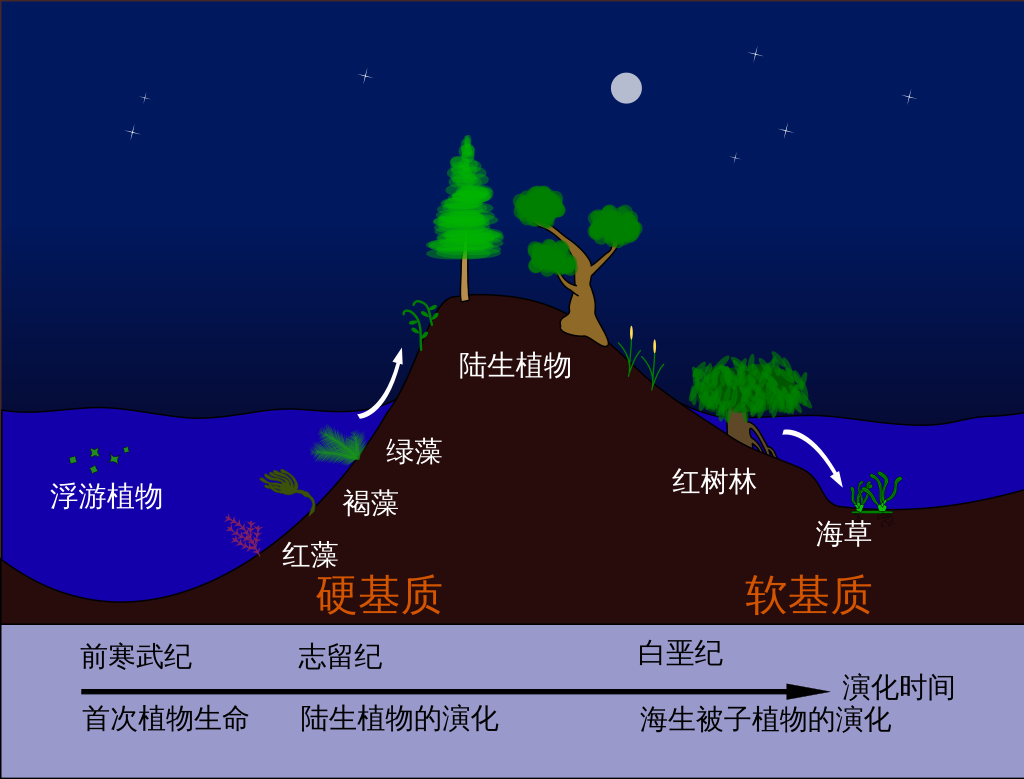 图片 7.png