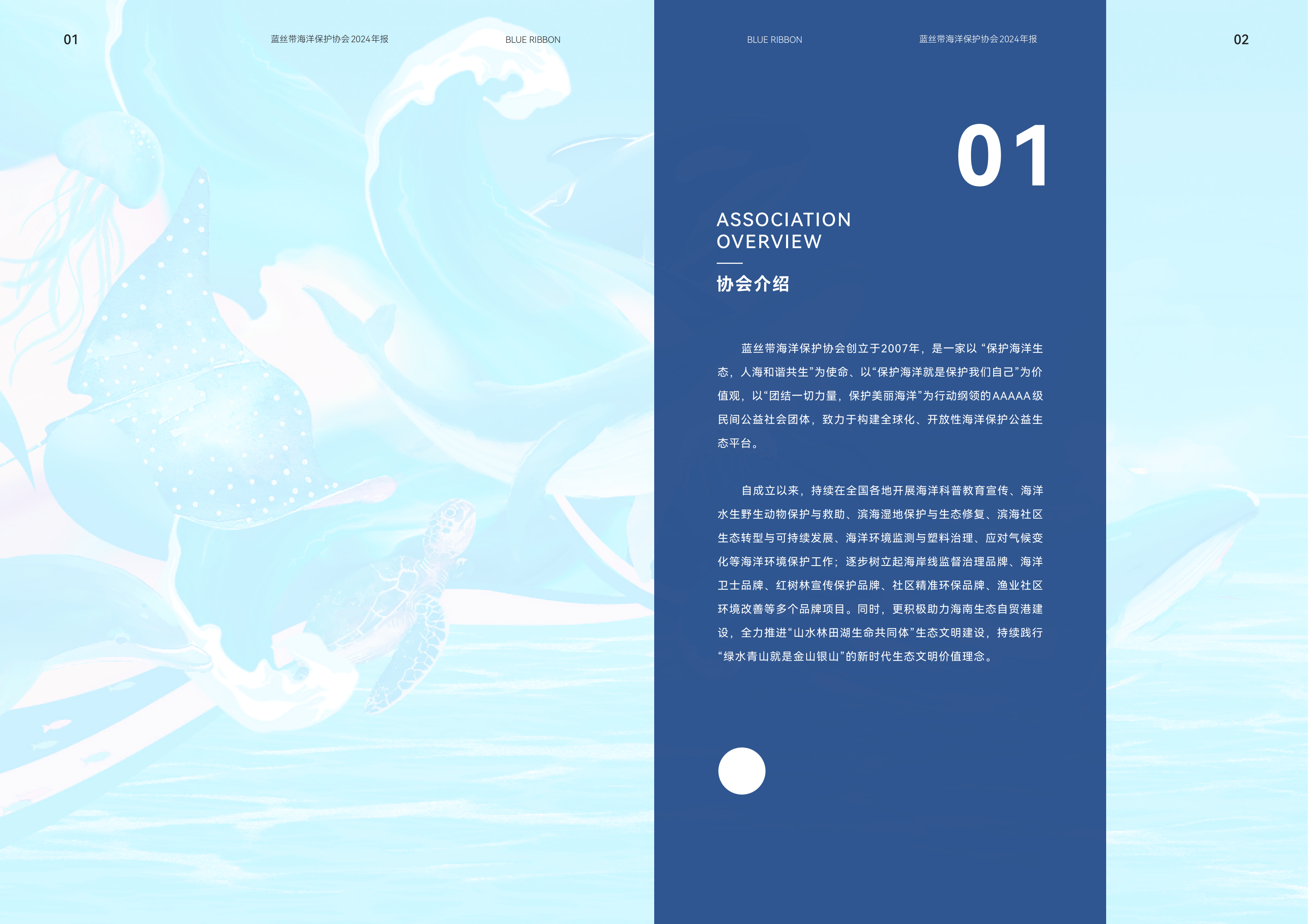2024年年报_04.png
