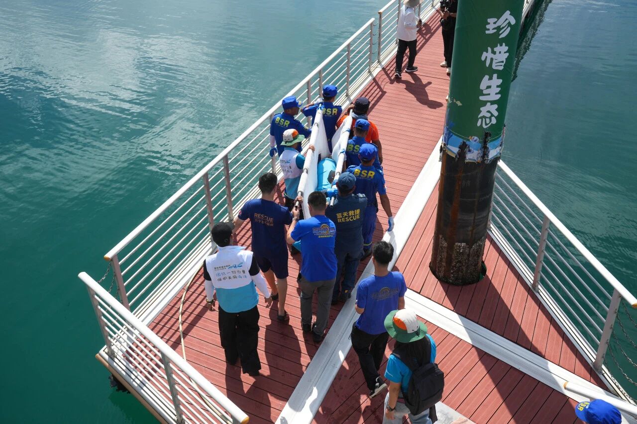 微信图片_2025-10-13_105028_750.jpg